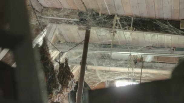 depositphotos_44859893-stock-video-wooden-ceiling-filled-with-cobwebs