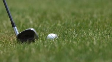 Golf Kulübü Topa Yeşil Pistte Vuruyor, Detayları Kapat, 120fps Yavaş Hareket