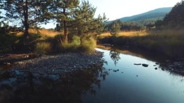 Sırbistan 'ın Zlatibor Dağı' nın el değmemiş manzarası. Nehir, çayır ve yaya köprüsü