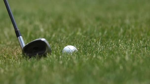Clubul de golf lovește mingea într-un teren verde, detalii de închidere, 120fps mișcare lentă — Videoclip de stoc