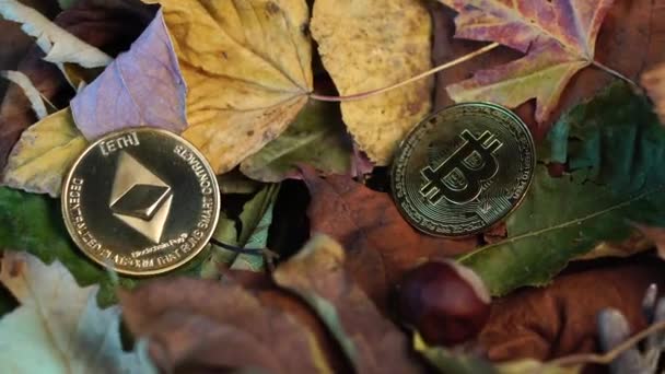 Ethereum Etc Bitcoin Btc Cryptocurrency Golden Coins Autumn Decor Fallen — ストック動画