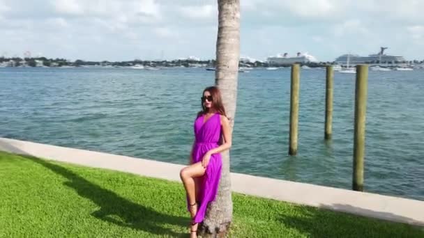 Sexet Kvinde Lyserød Kjole Palmetræ Dock Hav Miami Usa Langsom – Stock-video