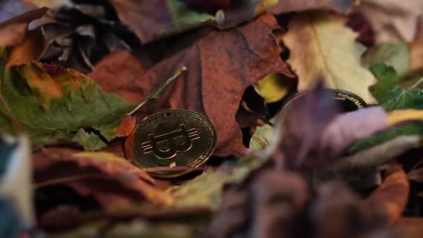 Bitcoin Btc Και Ethereum Eth Κλασικά Χρυσά Νομίσματα Για Την — Αρχείο Βίντεο