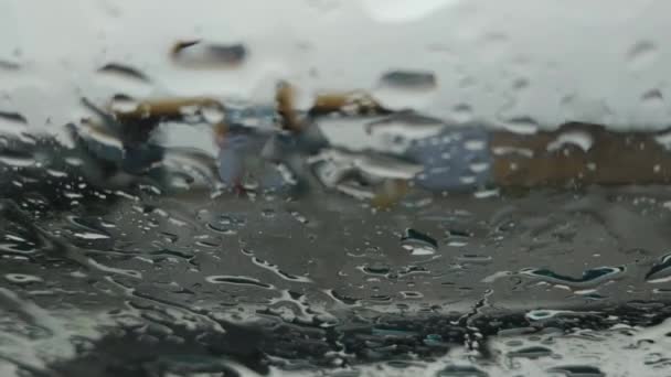 Raindrops Fall Glass Run Blurred Houses Passing Cars Visible Glass — Stock videók