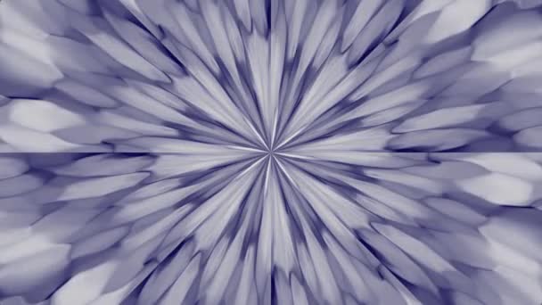 Kaleidoscope Winter Patterns Blues Whites Patterns Change Rotation Animated Background — Vídeo de Stock