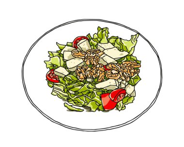 Vejetaryen salatası, el yapımı marul, ceviz, domates, peynir. Grafik vektör çizimi
