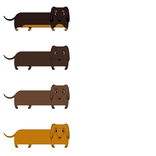 Set dachshunds — Stock Vector