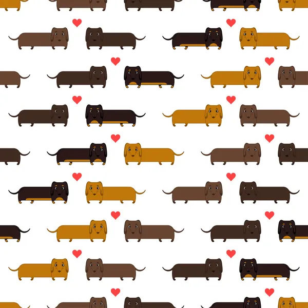 Seamless pattern of dachshunds — Stock Vector