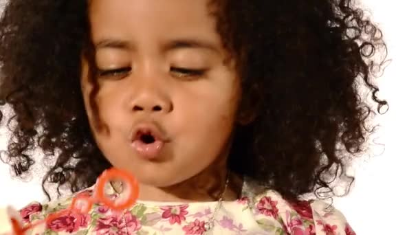 Funny Mixed Race Black And Latino Brazilian Little Girl Isolated
