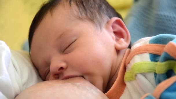 Ritratto di bambino. allattamento al seno del neonato — Video Stock