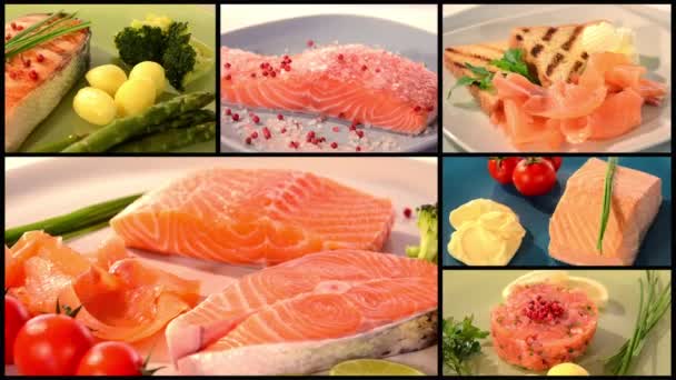 コラージュの鮭のレシピ — ストック動画