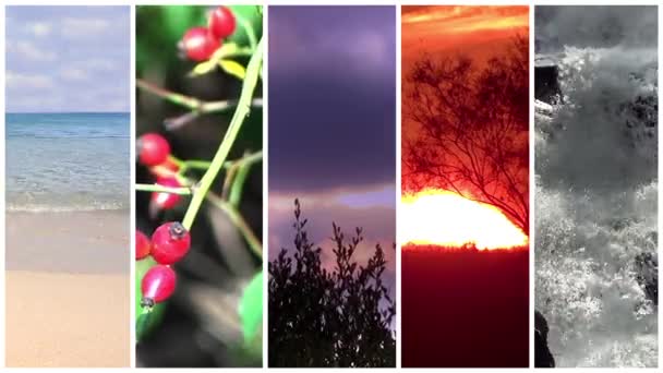 Poder e beleza da natureza selvagem, colagem — Vídeo de Stock