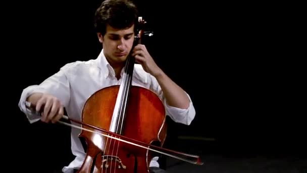 Cellist — Stock Video