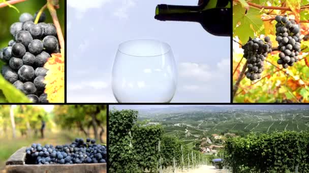 Terre de vin, collage — Video