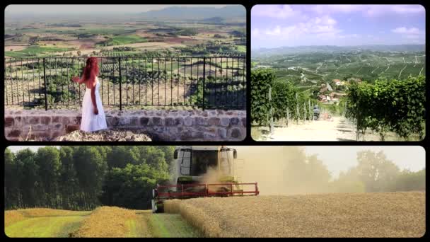 Vita di campagna — Video Stock