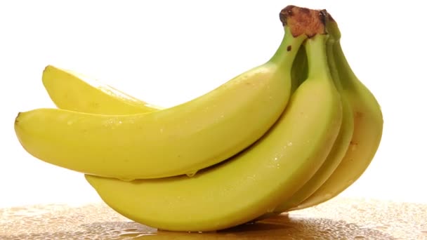 Bananenstrauß — Stockvideo