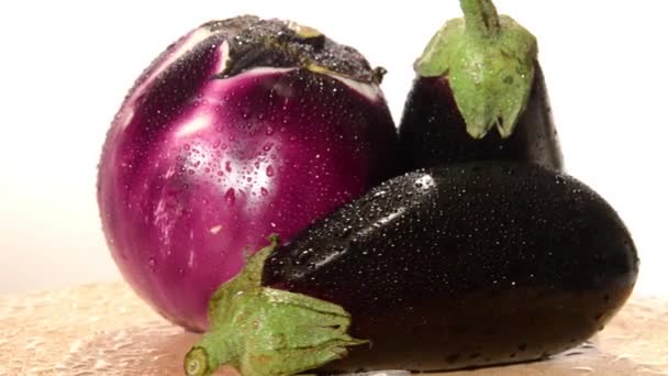 Eggplants — Wideo stockowe