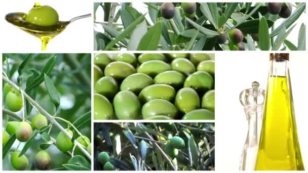 Olive oil collage — Stock Video