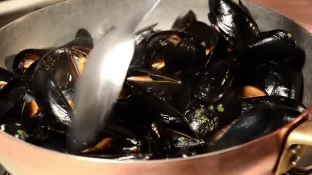 Frutti di mare, cozze — Video Stock