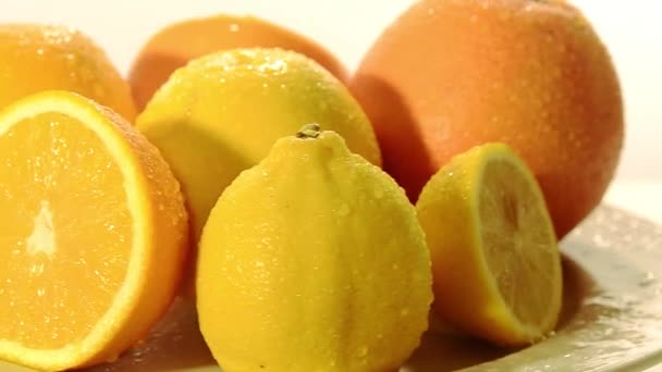 Citrus fruits — Stock Video