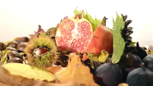 nourriture d'automne 