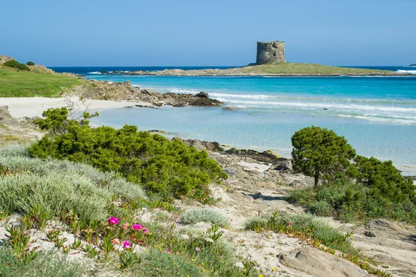 İtalya. Sardunya. Stintino deniz manzarası.