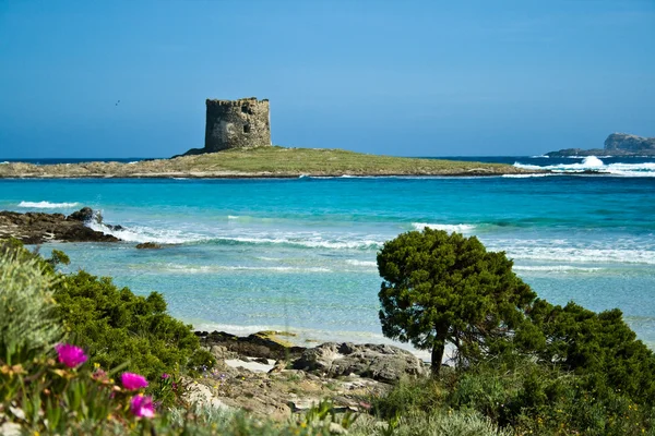 Italië. Sardinië. Stintino zeegezicht. Stockfoto