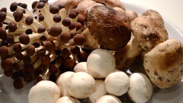 各种蘑菇 — 图库视频影像