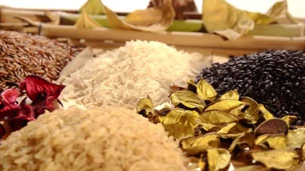 Various kinds of rice — Stock Video