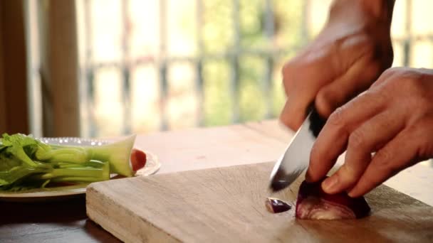 Hackfleisch rote Zwiebeln — Stockvideo