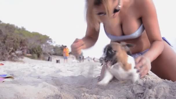 Jack russel et belle fille en vacances — Video