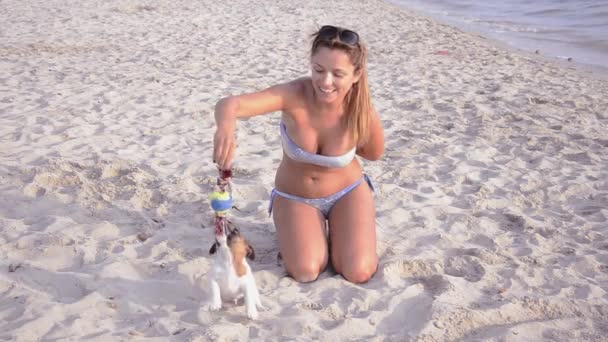 Jack russel and beautiful girl on vacation — Stock Video