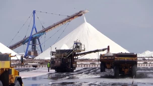 De productie van zout — Stockvideo
