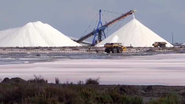 Производство соли — стоковое видео