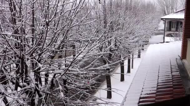 Día nevado — Vídeo de stock