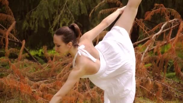 Hermosa bailarina haciendo ejercicios en un parque — Vídeo de stock