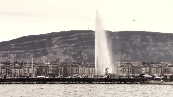 Geneva, jet d 'eau — стоковое видео