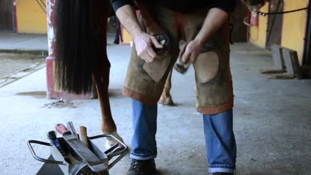 Farrier... — Vídeo de Stock