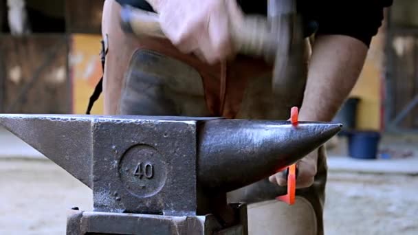 A blacksmith forging a horseshoe — Stock Video