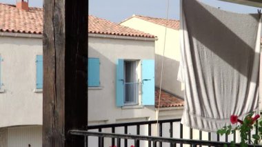 Kırmızı çiçekler, mavi perde ve siyah kuş