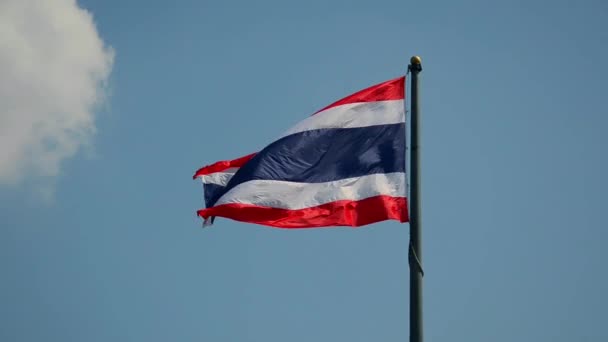 Flaga narodowa Tajlandii — Wideo stockowe