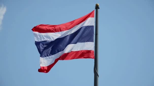 Nationale vlag van thailand — Stockvideo