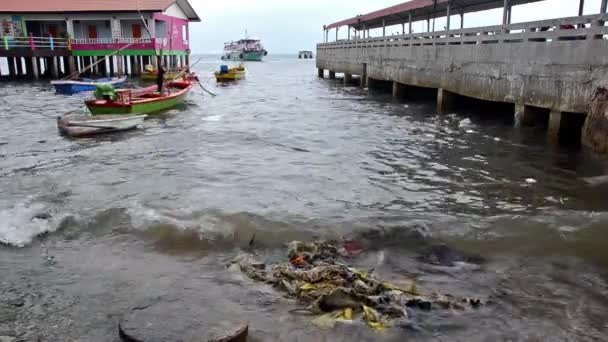 Thailand, sea pollution — Stock Video