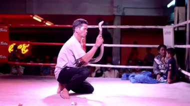 Tayland, pattaya, Yılan oynatan kimse