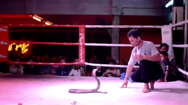 Thajsko, pattaya, Zaříkávač hadů — Stock video