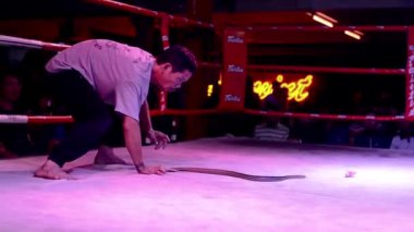 Tayland, pattaya, Yılan oynatan kimse