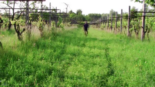 Un homme en forme pour la marche nordique — Video