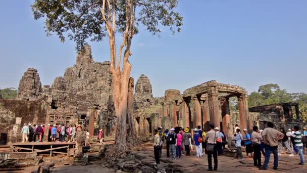 Siem reap, Cambodja, februari 2014. niet-geïdentificeerde toeristen in angkor wat tempel — Stockvideo