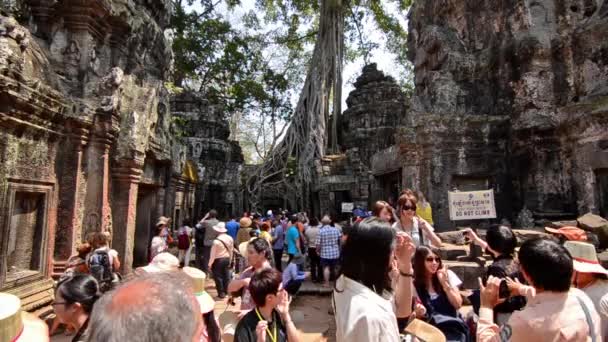 Siem Reap, Камбоджа, февраль 2014. Неизвестные туристы в храме Ангкор-Ват — стоковое видео