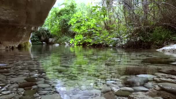 Сицилія, anapo річки, bioreserve — стокове відео